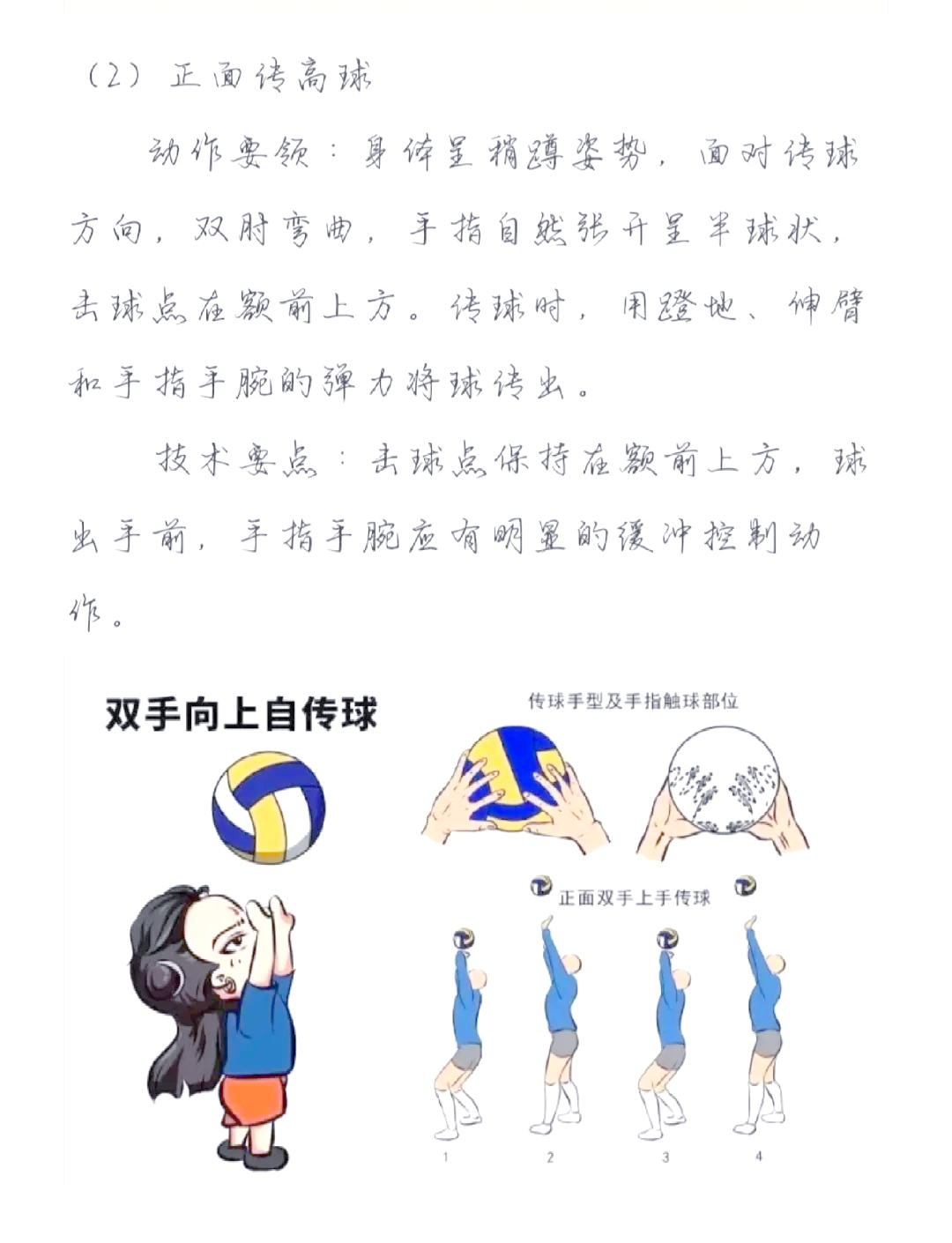 关于排球战术调整奏效，成功扭转局势的信息