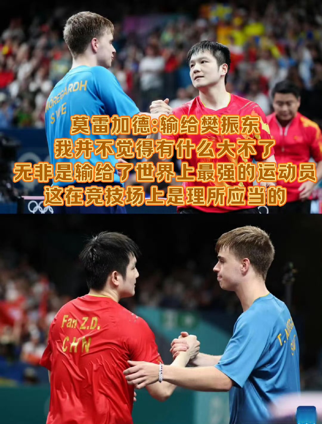 韩国队完胜瑞典队，樊振东扛起全队