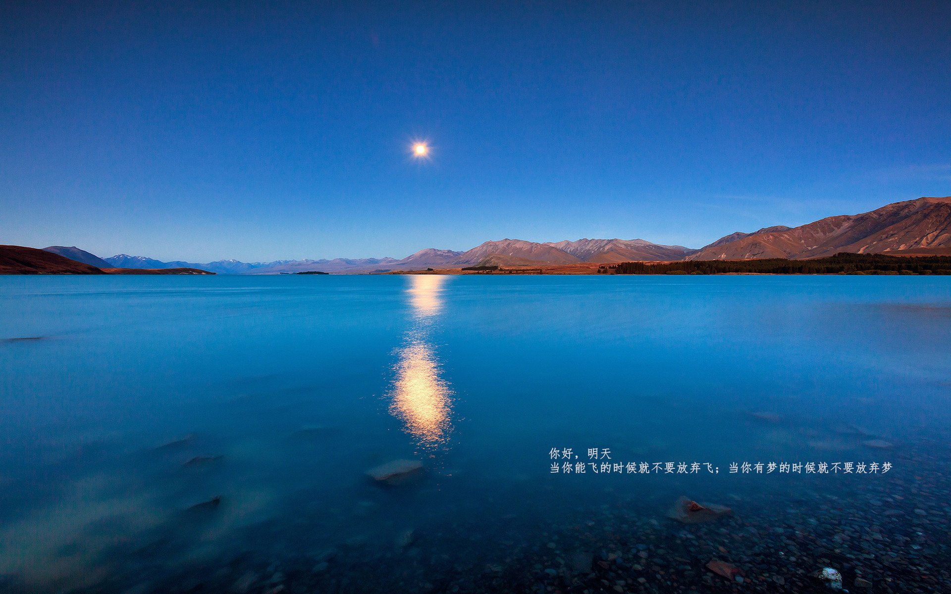 京多安惊艳四座,牙买加与加拿大的跨界对决之夜