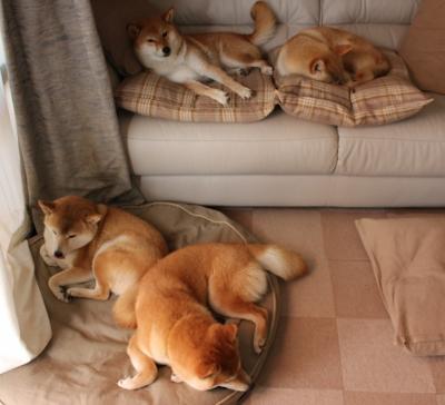 跨领域瞬间，当快船单节风暴撞见英超争冠的欧文式接管