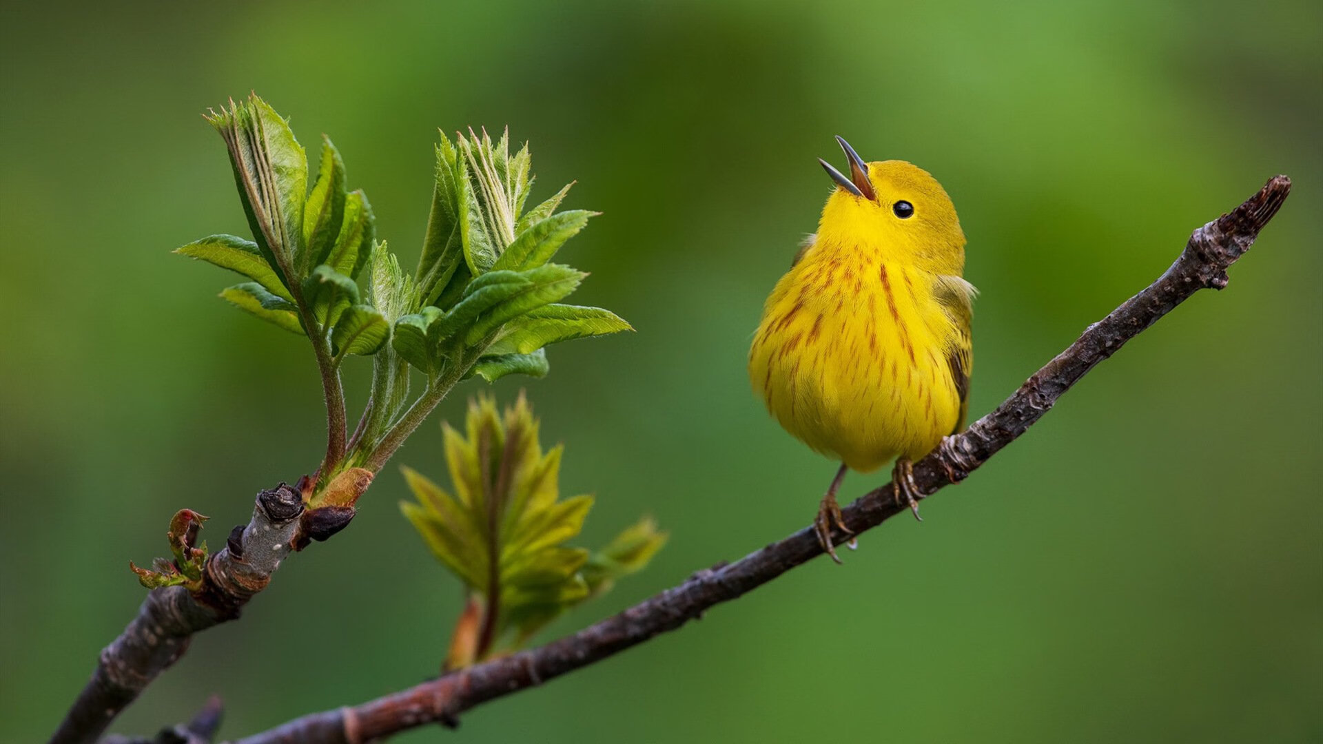 终场哨响前的强行终结,姆巴佩如何将悬念钉入死局