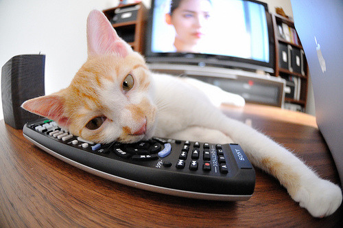 万类霜天竞自由，孔德与东决之夜的进攻神话