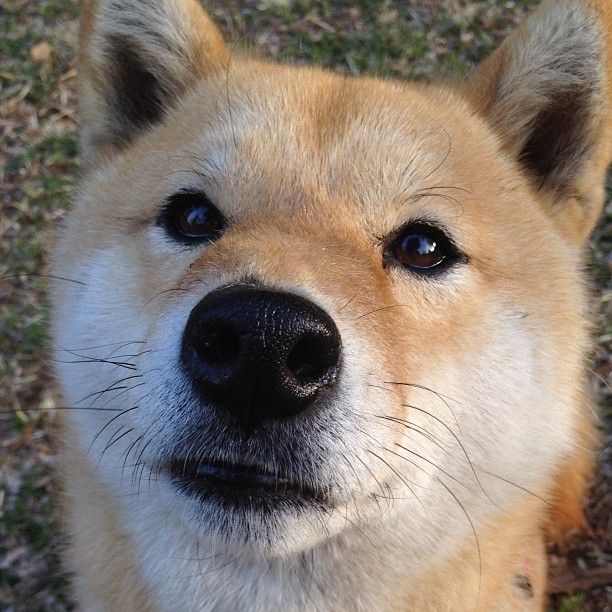 墨西哥黑马狂奔！世排焦点战掀翻巴萨豪门，改写足坛权力版图