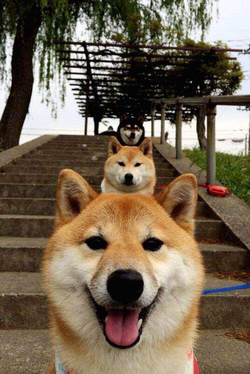 平行宇宙的1.88毫米，当三笘薰的极限压线成为比利时绝杀乌拉圭的蝴蝶之翼