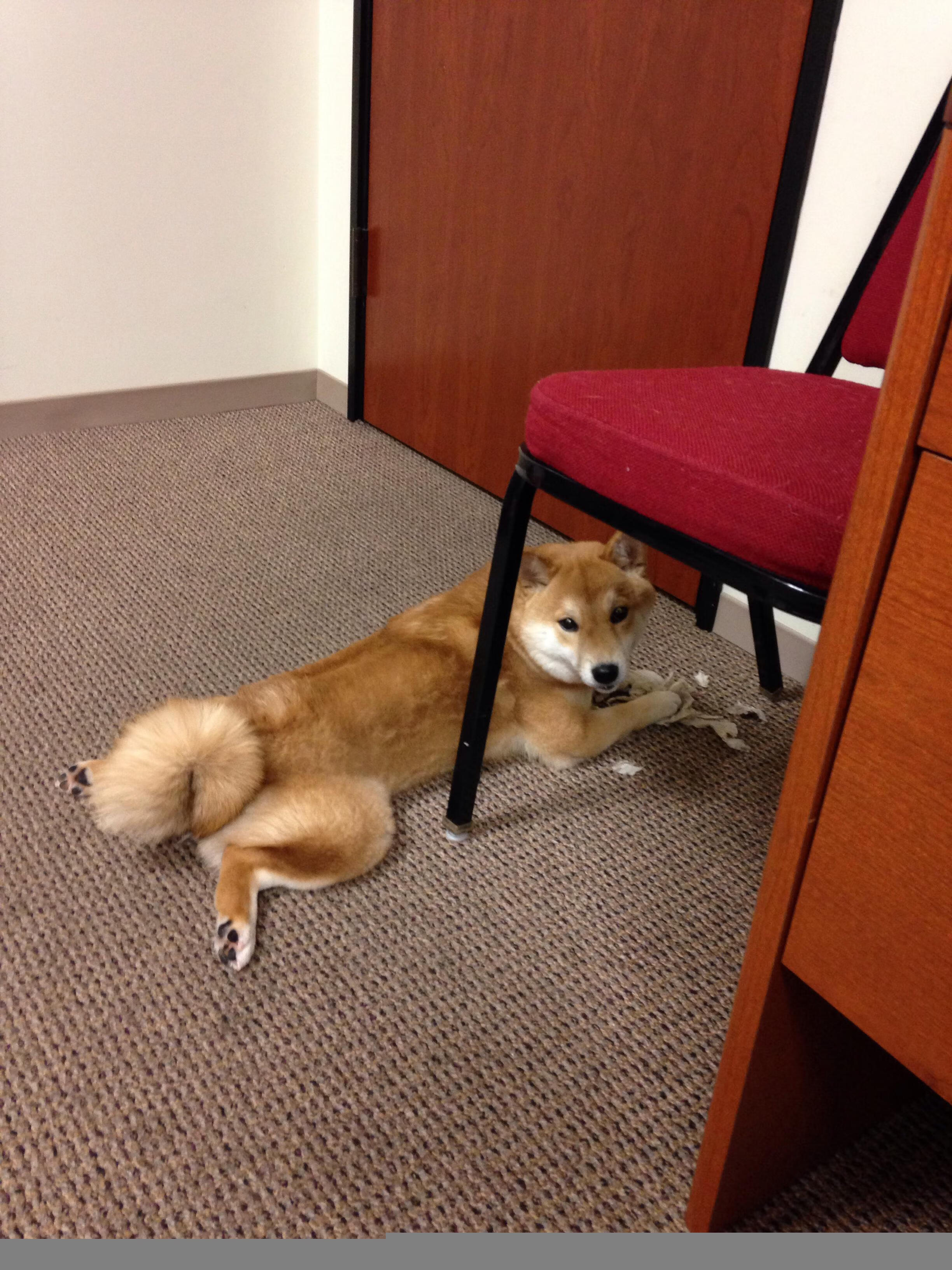 布克决胜时刻闪耀全场，热火强势碾压快船夺关键胜利