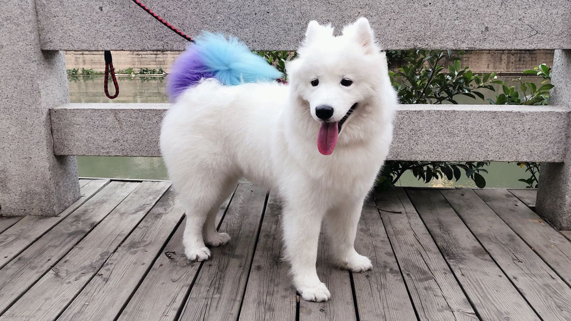 北欧风暴与南方闪电，当团队压制遇见个人英雄主义