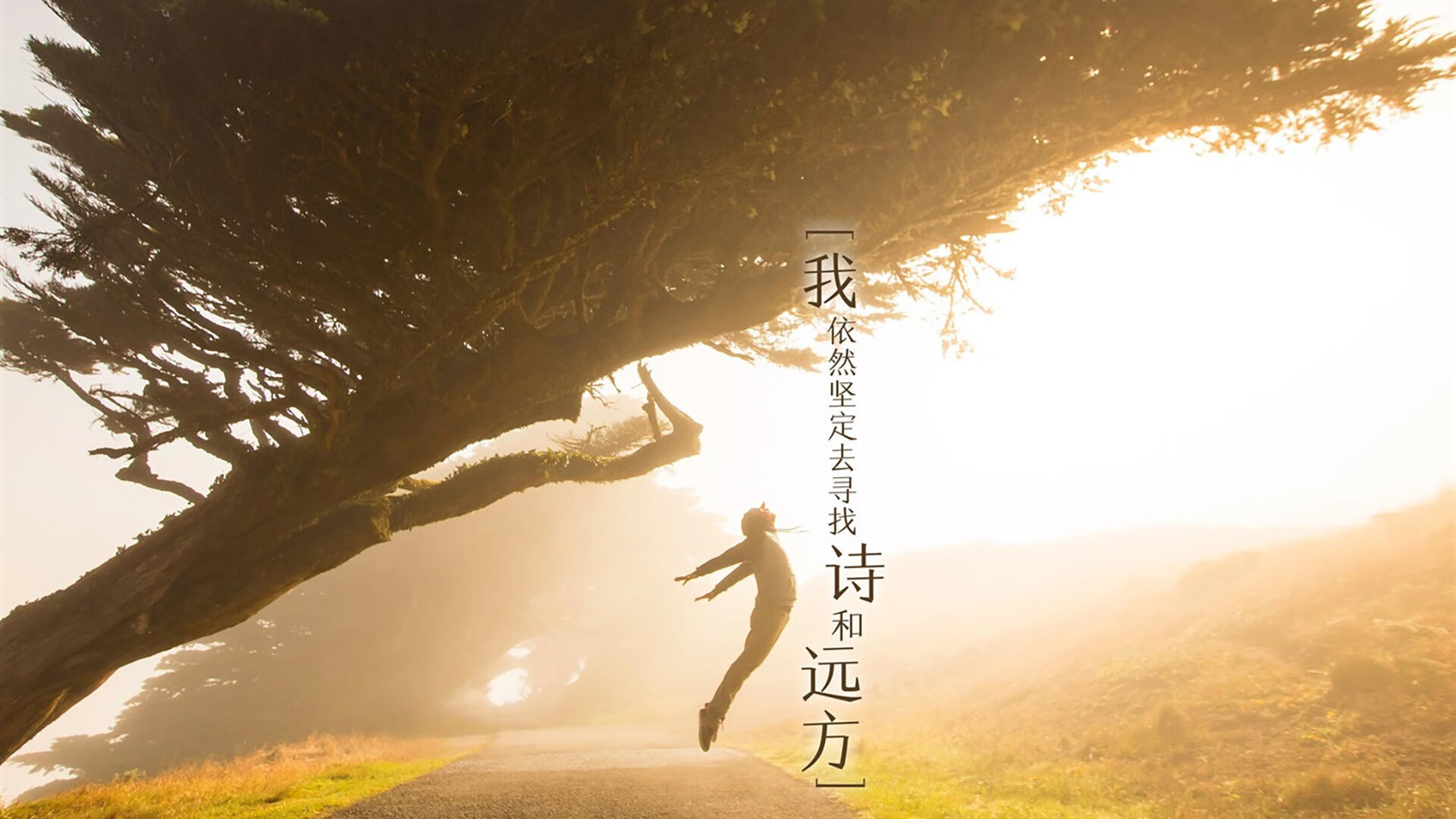 钢铁意志的爆破,当唯一的京多安,将奥地利战车驶入世界杯的冰与火之歌