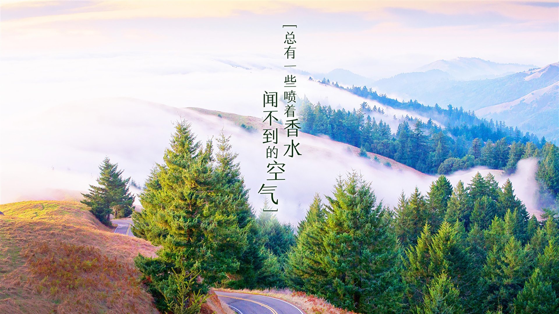 东欧铁骑踏碎星条旗,加维一人导演经典,匈牙利用窒息压制改写F组格局