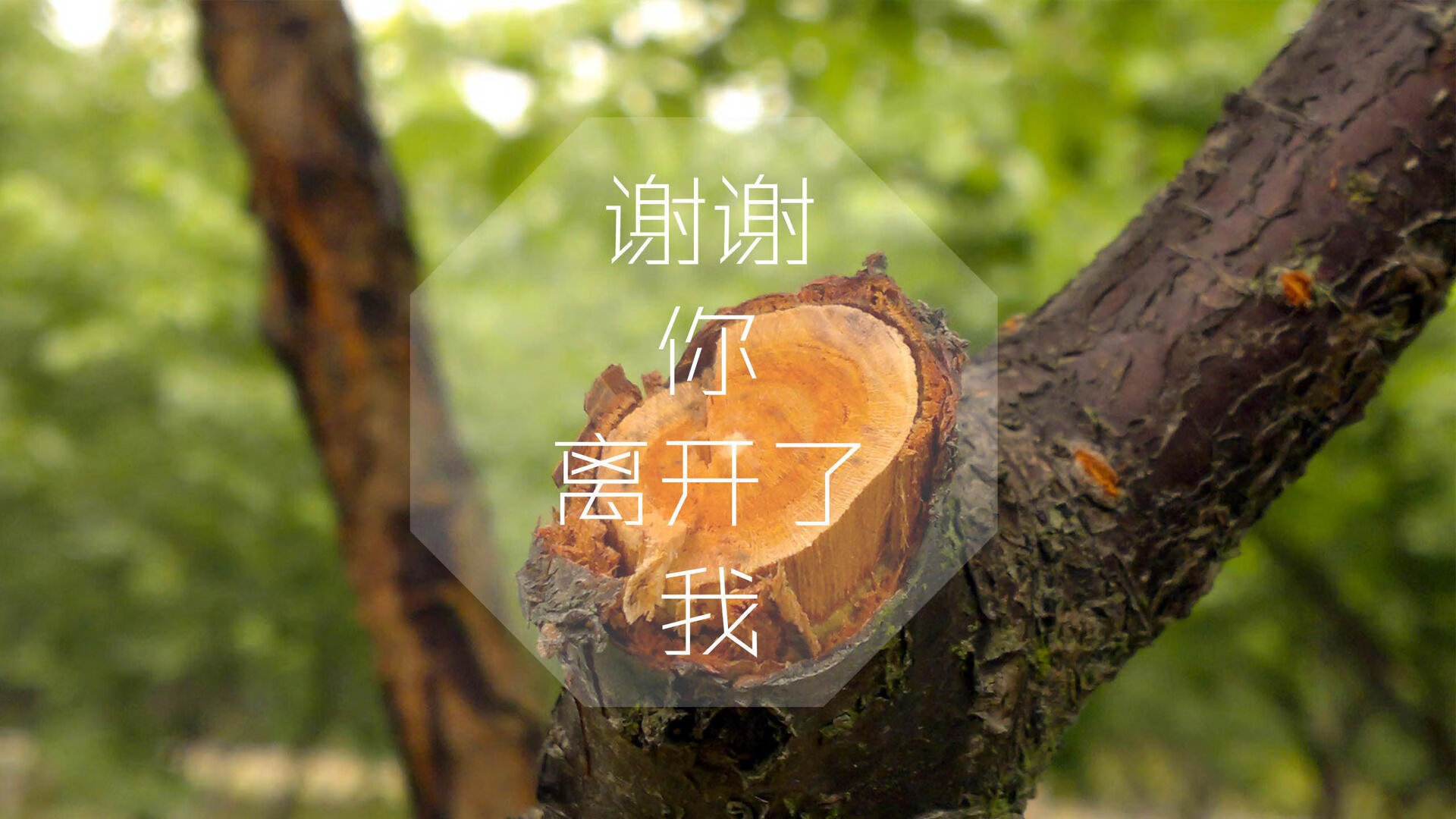 黑马之翼,当德意志战车撕裂高卢雄鸡,德布劳内书写唯一的王者剧本