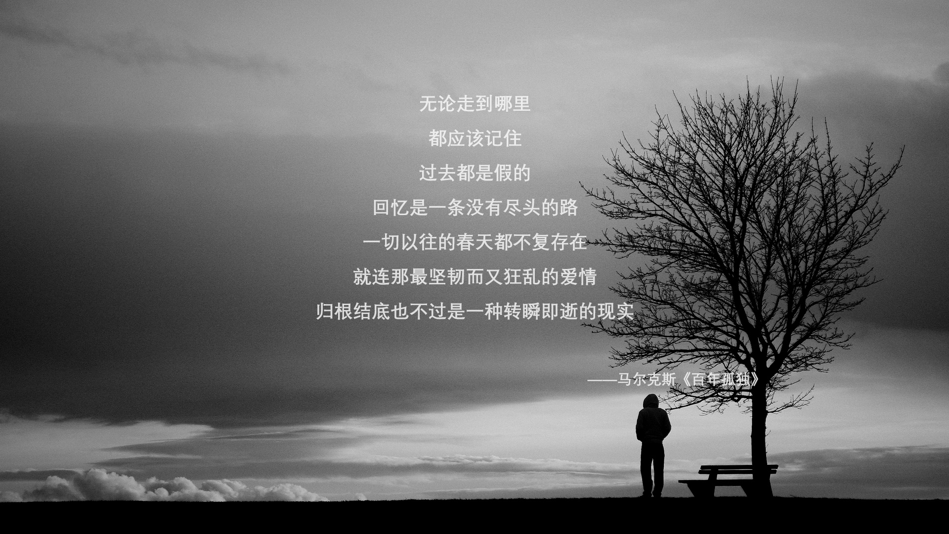枫叶之刺,格列兹曼的狡黠与西班牙斗牛士的黄昏—2026世界杯四分之一决赛冷门解码