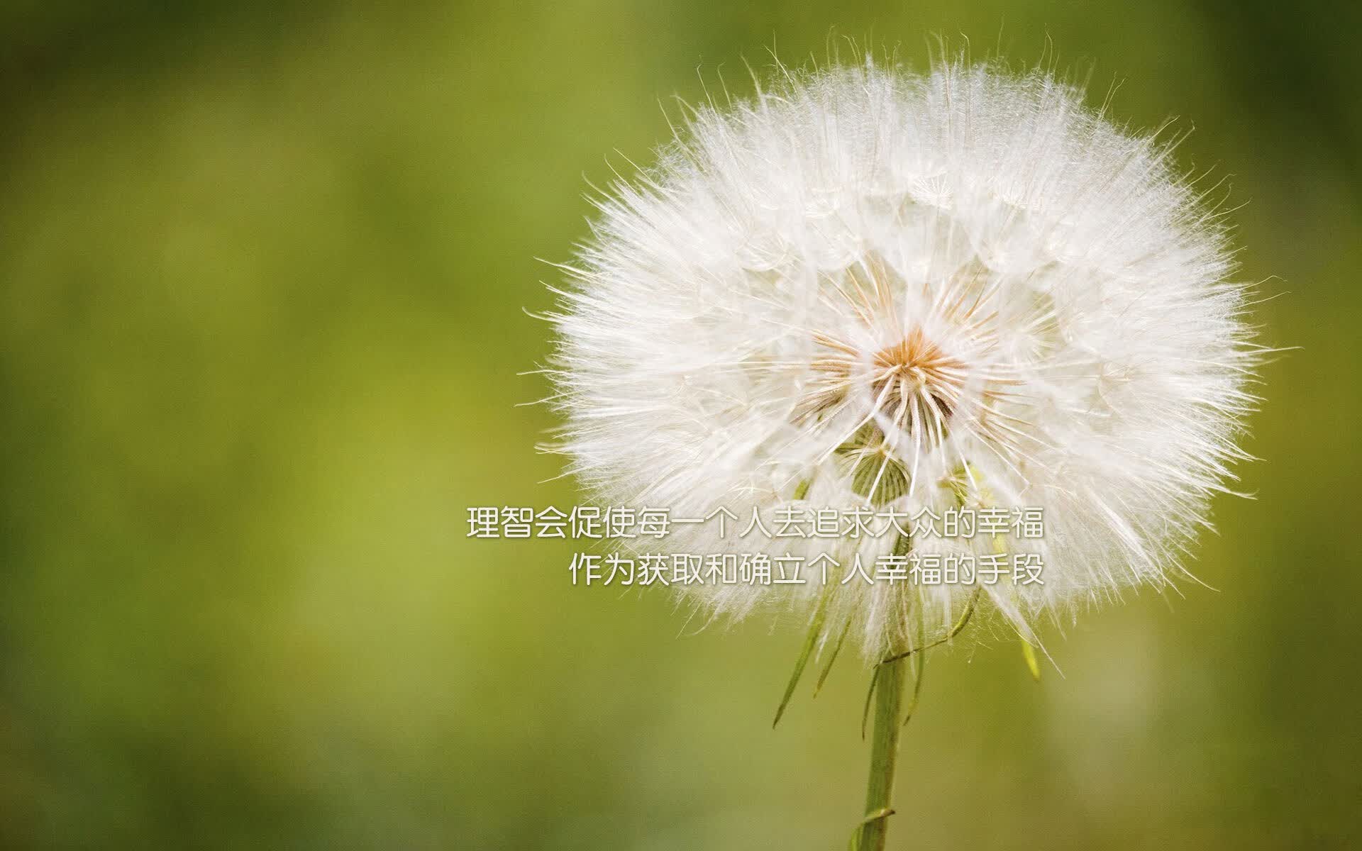 归化飞翼一锤定音!伊朗逆转越南,阿方索·戴维斯演绎攻守转换教科书