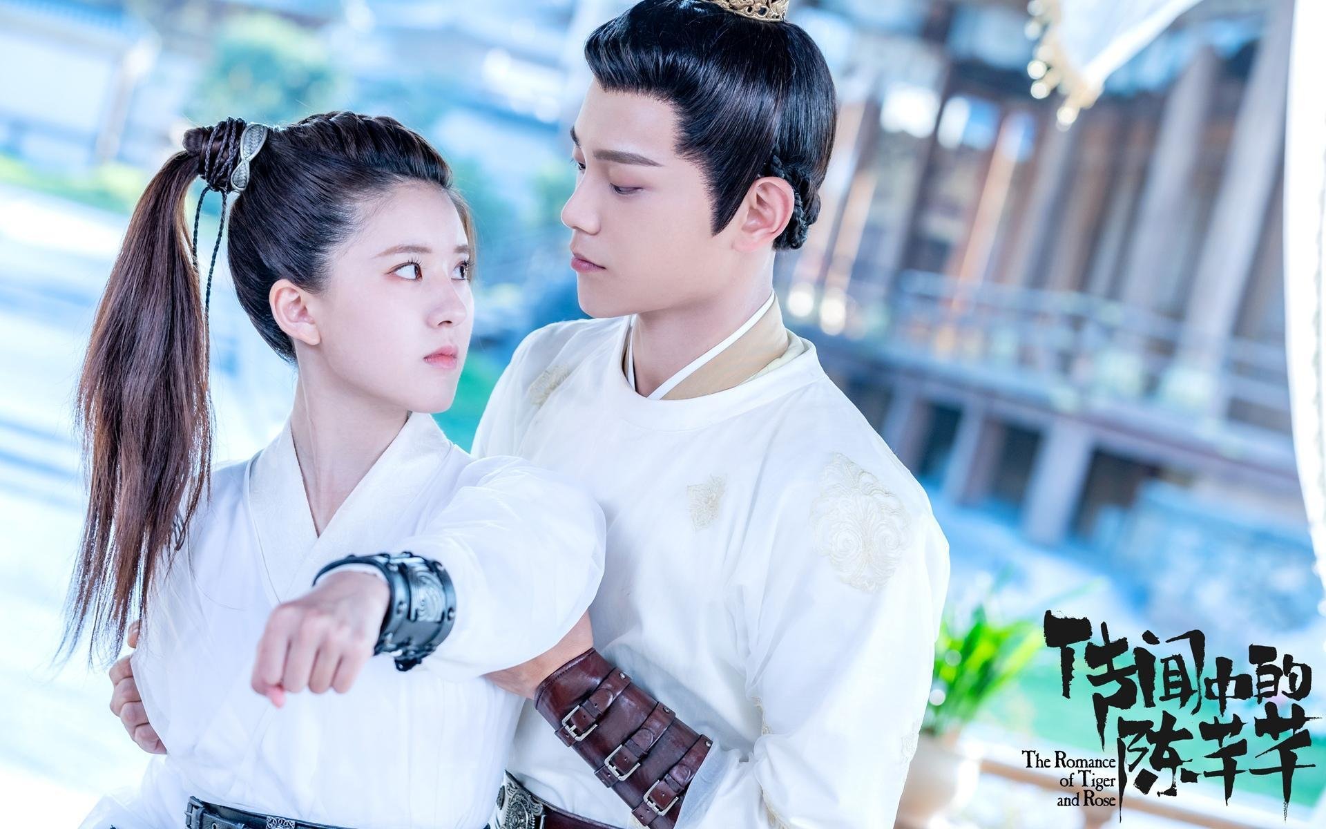 铁血之师的黄金终章,布罗佐维奇导演绝世一击,塞尔维亚用防守谱写唯一神话